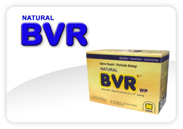 Natural BVR Agens Hayati