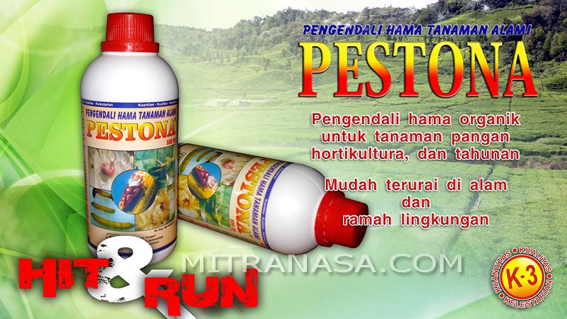 Brosur Pestona Mitra Nasa