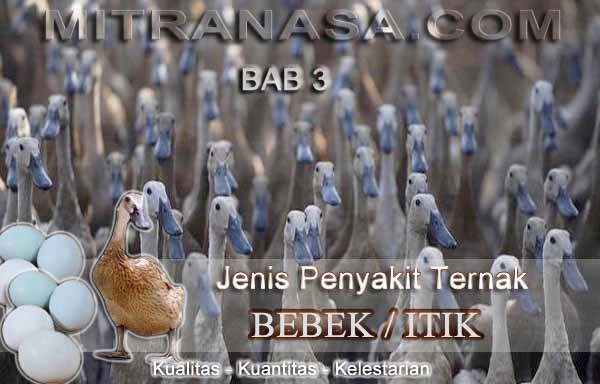 Jenis Penyakit Ternak Bebek / Itik