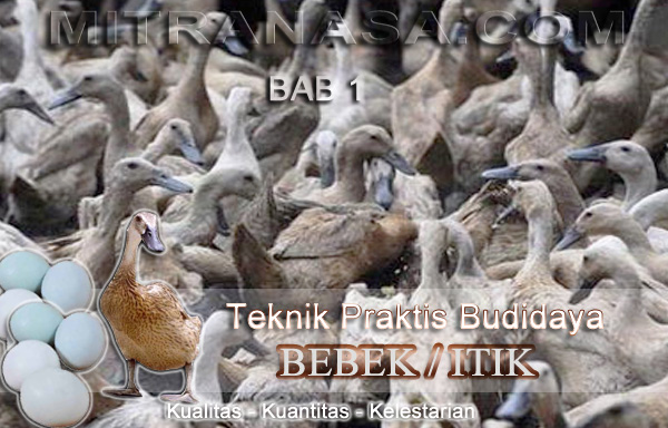 Teknik Praktis Budidaya Bebek / Itik