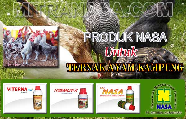 Produk Nasa Untuk Ternak Ayam Kampung