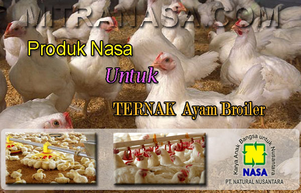 Produk Nasa Untuk Budidaya Ternak Ayam Broiler