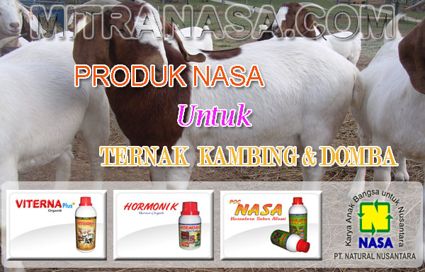 Produk Nasa Untuk Budidaya Ternak Kambing & Domba