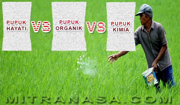 PUPUK HAYATI vs PUPUK ORGANIK vs PUPUK KIMIA
