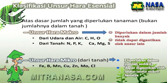 Mengenal Jenis Unsur Hara Makro Dan Mikro
