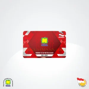 NASA Digital Starter